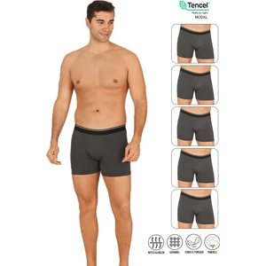 Özkan Underwear Özkan 11256 5'li Paket Erkek Modal Pamuklu Esnek Yumuşak Boxer Şort
