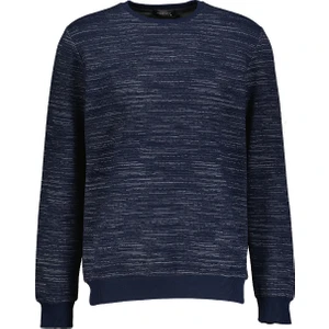 Erkek Jakarlı Sweatshirt 242209006.JKOYR
