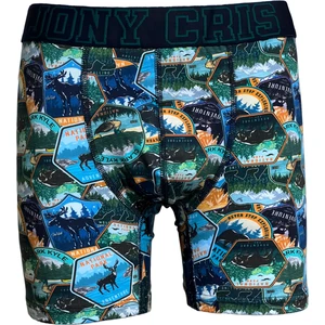 Jony Cris Desenli Boxer 5’li Pamuklu Baskılı Erkek