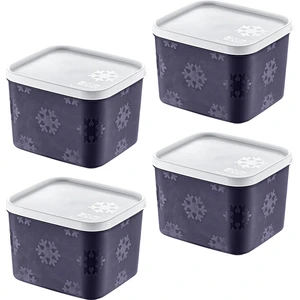 No-Frost Saklama Kabı 1600 ML 4 ADET LACİVERT