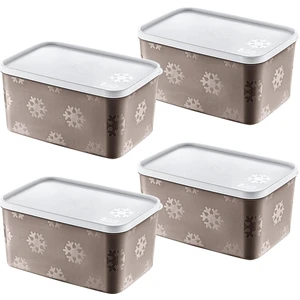 4'Lü Set No Frost Saklama Kabı Terra 2600 ML