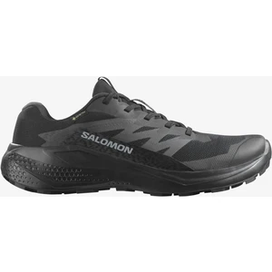 ALPHAGLIDE GORE-TEX Erkek Koşu Ayakkabısı Black L47802100