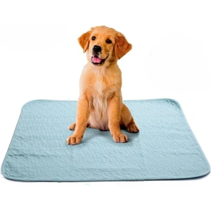 Abso Yıkanabilir Emici Köpek Pedi 5'li Paket (40x40 cm)