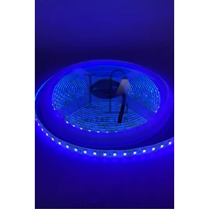 Hazar Led 12 Volt Uv (Ultraviyole) Şerit LED 2835 Smd Metrede 120 LED Black Light 5 Metre