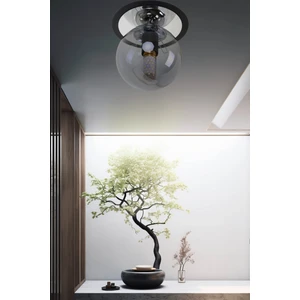 Mş Aydınlatma Alora Siyah Krom Füme Camlı Plafonyer Avize