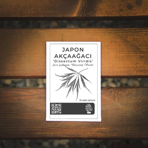 Ağaç Tohumu - Japon Akçaağacı 'dissectum Viridis' - 10 Adet