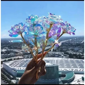 5 Adet Sonsuzluk Gülü Rengarenk Hologramlı Sevgiliye Hediye 24 cm