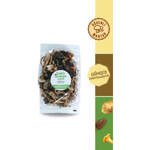 Saklı Orman Doğal Karışık Kurutulmuş Mantarlar 100 gr