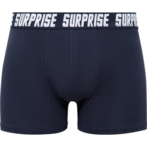 Lacivert Basic Boxer 0911076-70695