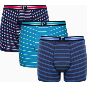Bold Stripe Çok Renkli 3lü Boxer