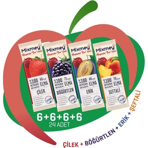 Klasik Favoriler Meyve Bar Paketi 20 gr x 24 Adet