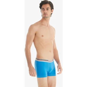 Erkek Pamuk Elastan Boxer Colours 9550 - Mavi