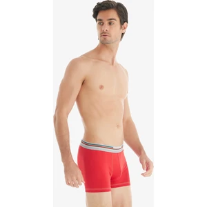 Erkek Pamuk Elastan Boxer Colours 9550 - Kırmızı