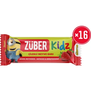 Kidz Çilekli ve Kakaolu Meyve Bar 30 Gr x 16 Adet