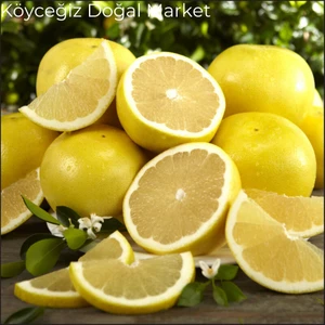 Köyceğiz Organik Beyaz Greyfurt