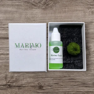 Özel Kutusunda Marimo (2-3cm) Set
