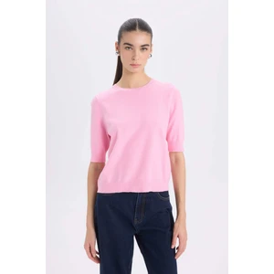 Regular Fit Bisiklet Yaka Basic Düz Kısa Kollu Triko Kazak D6272AX25SM