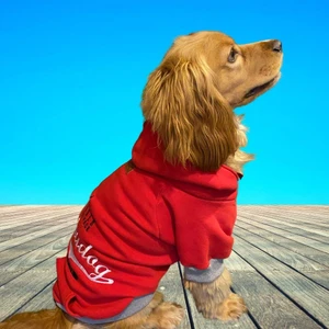 Leader Red Orta-Büyük Irk Köpek Sweatshirtü (11 kg-36 kg arası köpeklere uygundur)