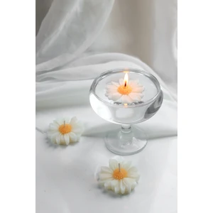 3`lüset Suda Yüzen Papatya Mum | Tealight | Düğün, Nişan, Nikah, Kına,  Mum