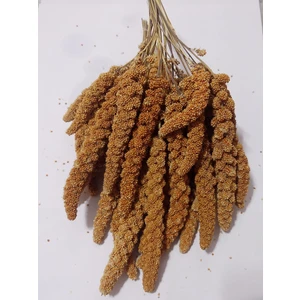 Kızıl Dal Darı Doğal 500 gr