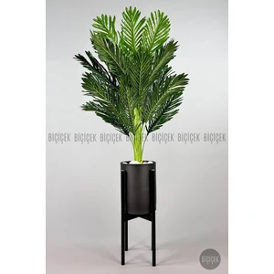 150 cm  Areka Ağacı Ayaklı Metal Saksıda