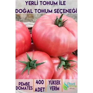400 Adet Pembe Domates Tohumu - Yerli Ürün - Verimli ve Lezzetli Hasat