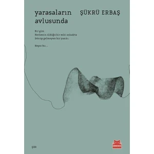 Yarasaların Avlusunda  -  Şükrü Erbaş