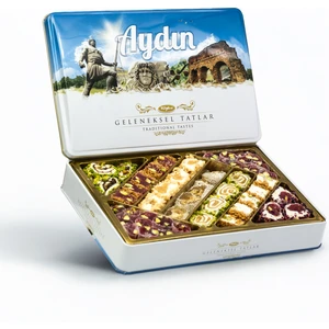 Tuğba Kuruyemiş Geleneksel Tatlar Metal Kutu 540 gr (Aydın)