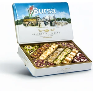 Tuğba Kuruyemiş Geleneksel Tatlar Metal Kutu 540 gr (Bursa)