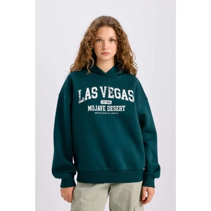 Regular Fit Kapüşonlu Baskılı Kalın Kumaş Sweatshirt E3331AXNS