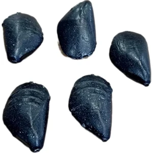 Trança Balıkçılık Midye Kurşun 5 Li Paket 40 gr