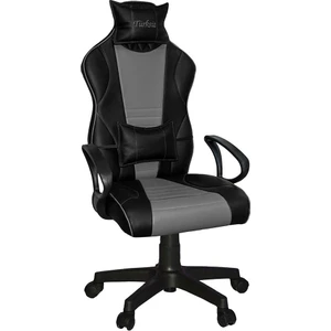 Asos Oyuncu Koltuğu Gri