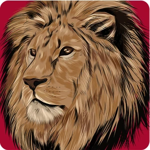 GS Store Galatasaray 2`li Çocuk Patch C241398