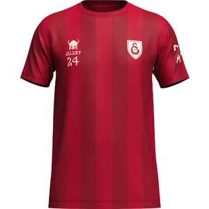 Gs Store Galatasaray Jelert Design Fc T-Shirt E241312