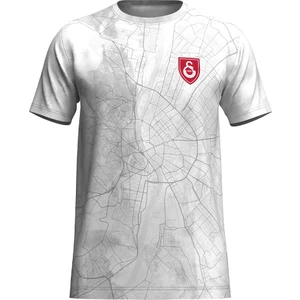 Gs Store Galatasaray Sallai Design Fc T-Shirt E241315