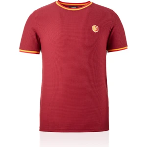 Gs Store Galatasaray Erkek T-Shirt E242099