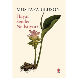 Hayat Senden Ne İstiyor?  -  Mustafa Ulusoy