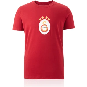 Gs Store Galatasaray Erkek T-Shirt E241111