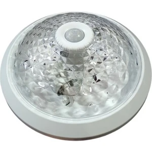 Uzm Light Maxled 360 Derece Sensörlü Tavan Glop Armatür MX-6212