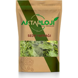 100 gr Sedr Yaprağı