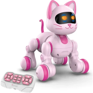 Uzaktan Kumandalı Ses Kontrollü Programlanabilir Akıllı Robot Kedi