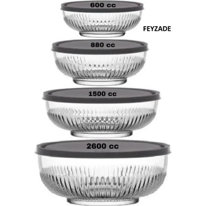 Feyzade Tokyo Saklama Kabı 4'Lü Set 2600 Cc 1500 Cc- 880 Cc-600 Cc