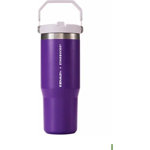 Iceflow 30 Oz Paslanmaz Çelik Pipetli Bardak, Vakumlu Yalıtımlı Su Şişesi, Pipetli Bardak Sızdırmaz Kapaklı