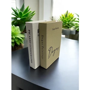 Saccura Decor Degas & Pıcasso 2li Kumaş Kaplı Dekoratif Kitap Kutu Seti