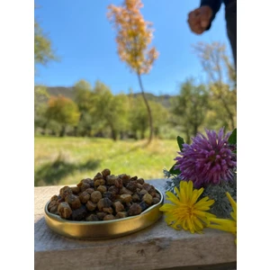 Köyden Gelsin Arı Ekmeği - 100 gr