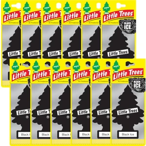 Car Freshner Asma Koku 12'li Siyah Buz