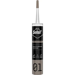 Genel Amaçlı Şeffaf Silikon 280GR