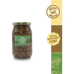 Saklı Orman Doğal Kanlıca Mantarı Turşusu 200 gr