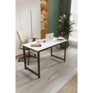 Çalışma Masası 60*120 Bilgisayar Masası Ofis Masası Çok Amaçlı Küçük Boy Masa