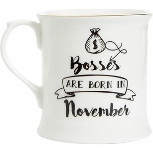 Sign November 380 Cc